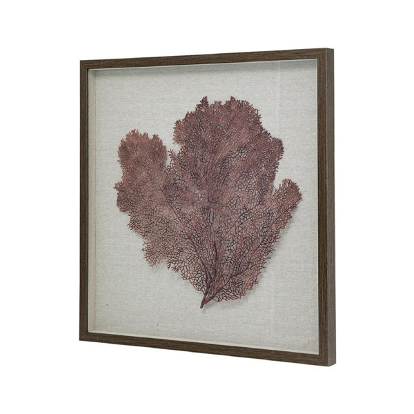 Seafanwalldecor Wayfair